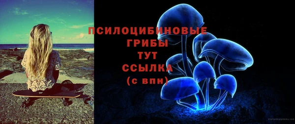 крисы Грязовец