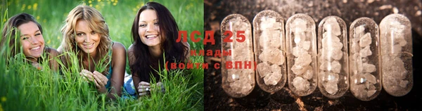 прущая мука Магадан