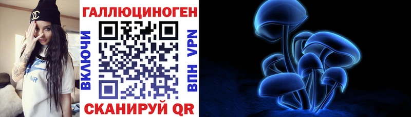 где купить наркотик  KRAKEN ONION  Псилоцибиновые грибы Cubensis  Моршанск 