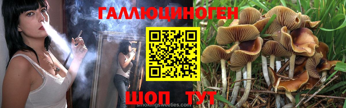Галлюциногенные грибы Psilocybe  Вход с VPN  Моршанск  Псилоцибиновые грибы мицелий 
