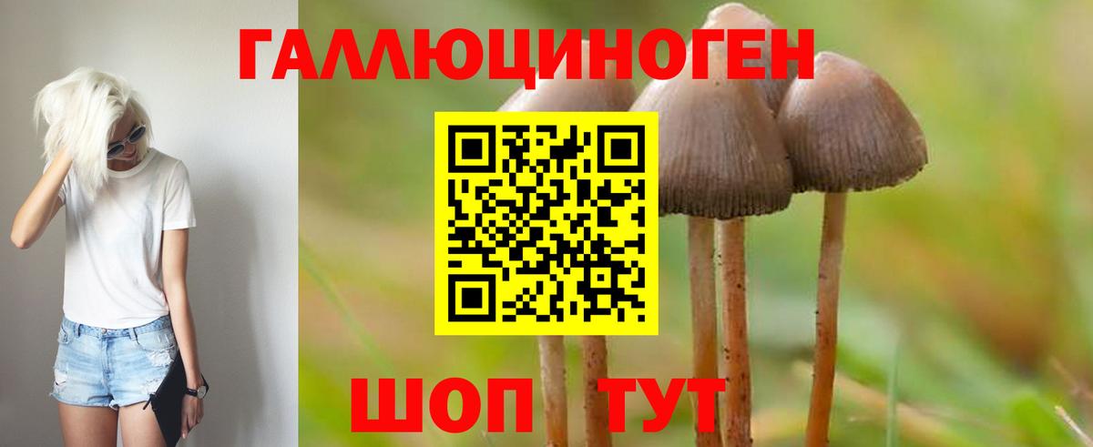 Псилоцибиновые грибы GOLDEN TEACHER Моршанск