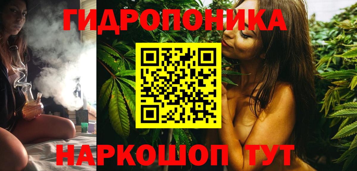 Шишки марихуана сатива Моршанск